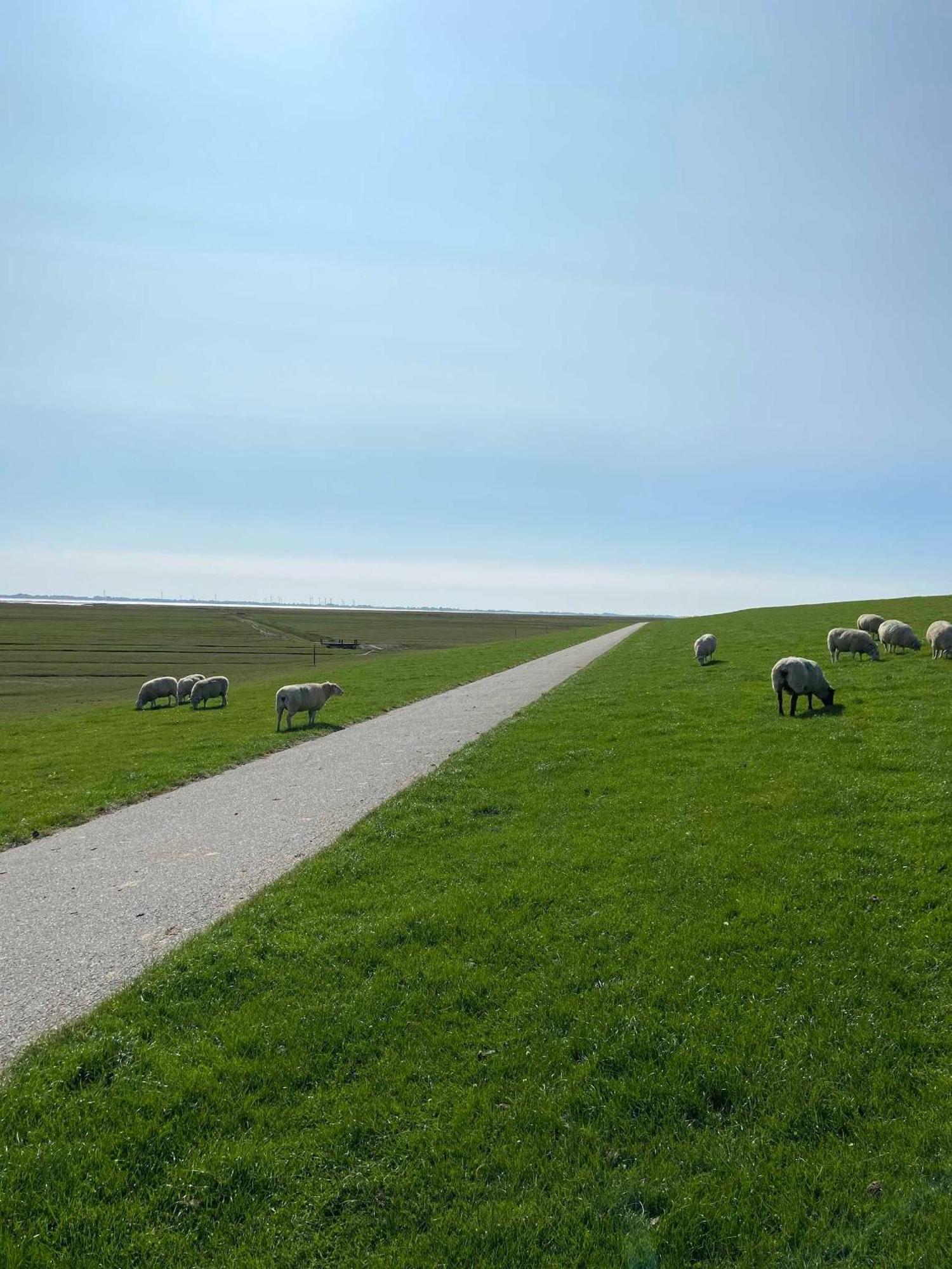 Dien To Huus Hébergement de vacances Nordstrand